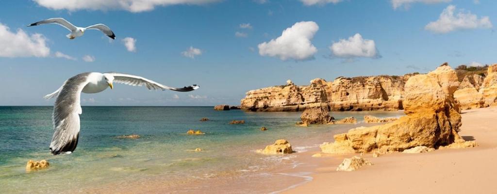 Espacoso Apt T2, Em Olhos Agua Albufeira Eksteriør bilde
